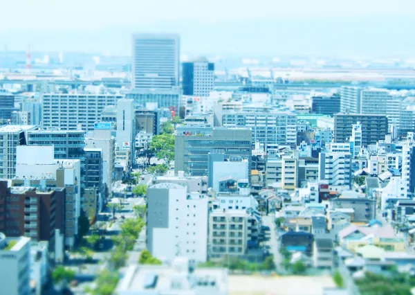 スライド画像